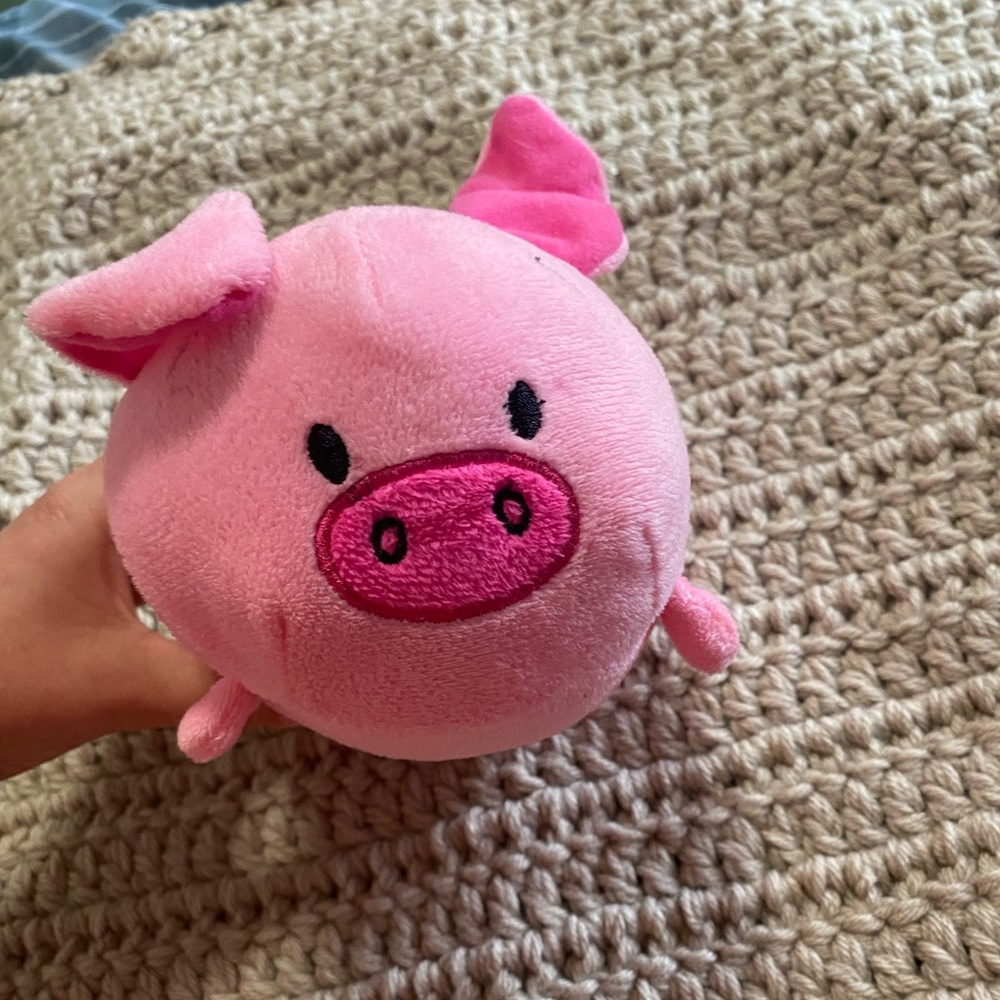 Bun bun stuffed pig